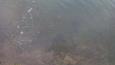 IMG 20160206 100837