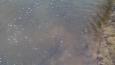 IMG 20160206 101004