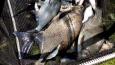 IMG 20170506 134400