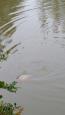 IMG-20170916-WA0016