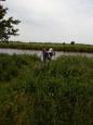 IMG 20180609 140910