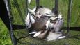 IMG-20190626-WA0008