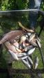 IMG-20190626-WA0010