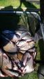 IMG-20190914-WA0017