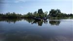 Visserslatijn 5 september 2020, Scheendijk Breukelen